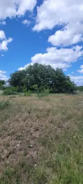 Menard County Hunting Land