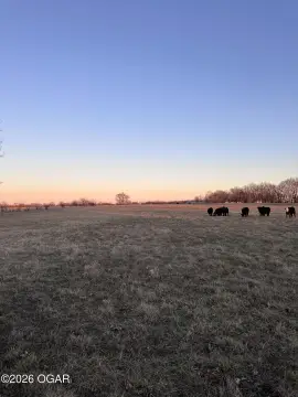 Carthage Land: Endless Possibilities