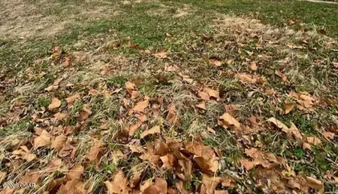 Joplin Land for Sale