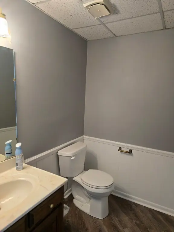 Picture 29