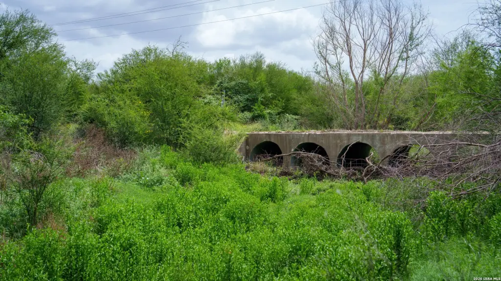 Picture 18