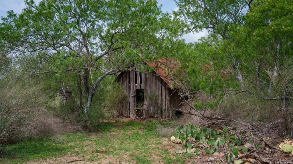 Picture 17
