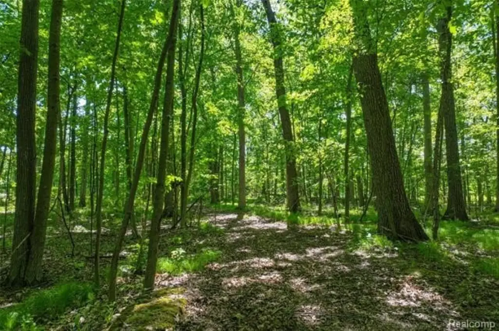 Picture 18