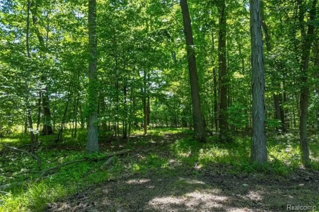 Picture 16