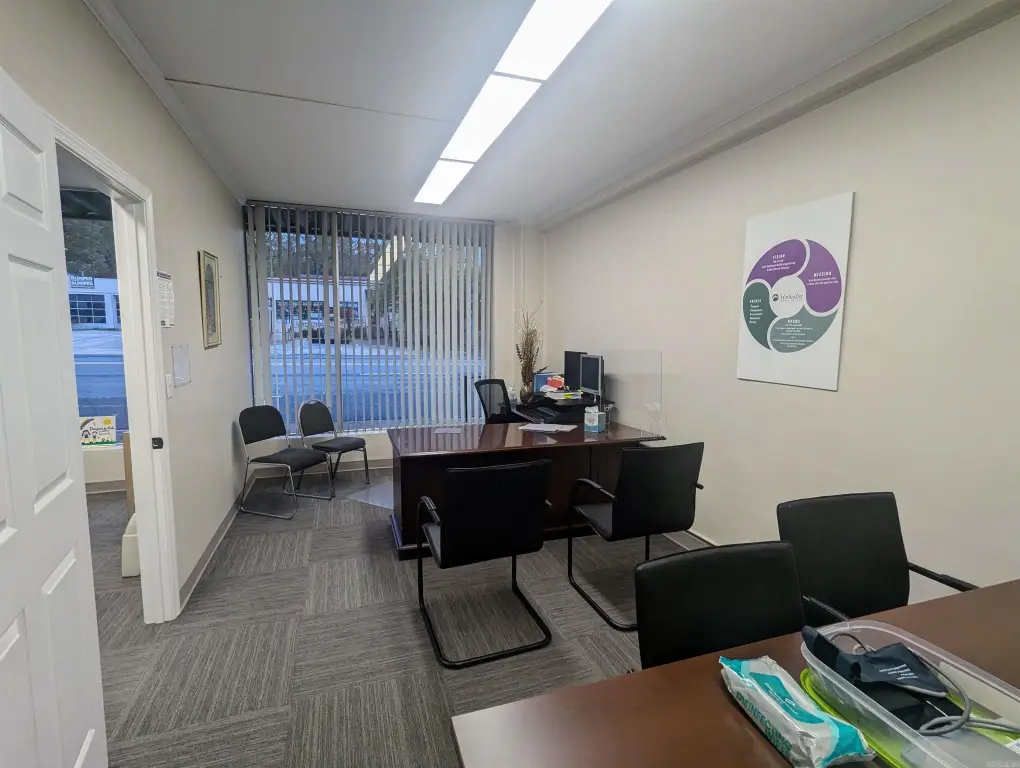 Picture 5