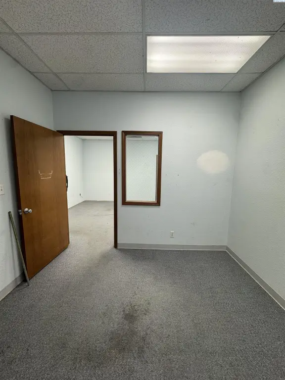 Picture 14