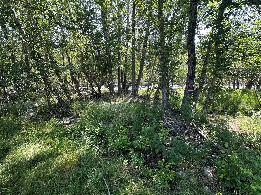 Picture 8