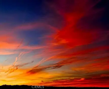 Joshua Tree Land Parcel