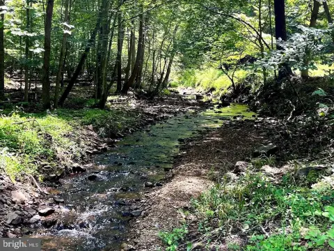 14.59 Acres in Boyce, VA