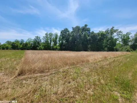 Unzoned Land Parcel in Foley