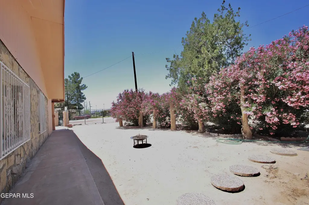 Picture 10