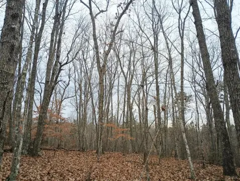 Wooded Land Parcel Near Amenities