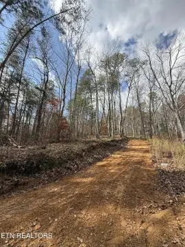 Ready-to-Build Lot Near Ocoee River