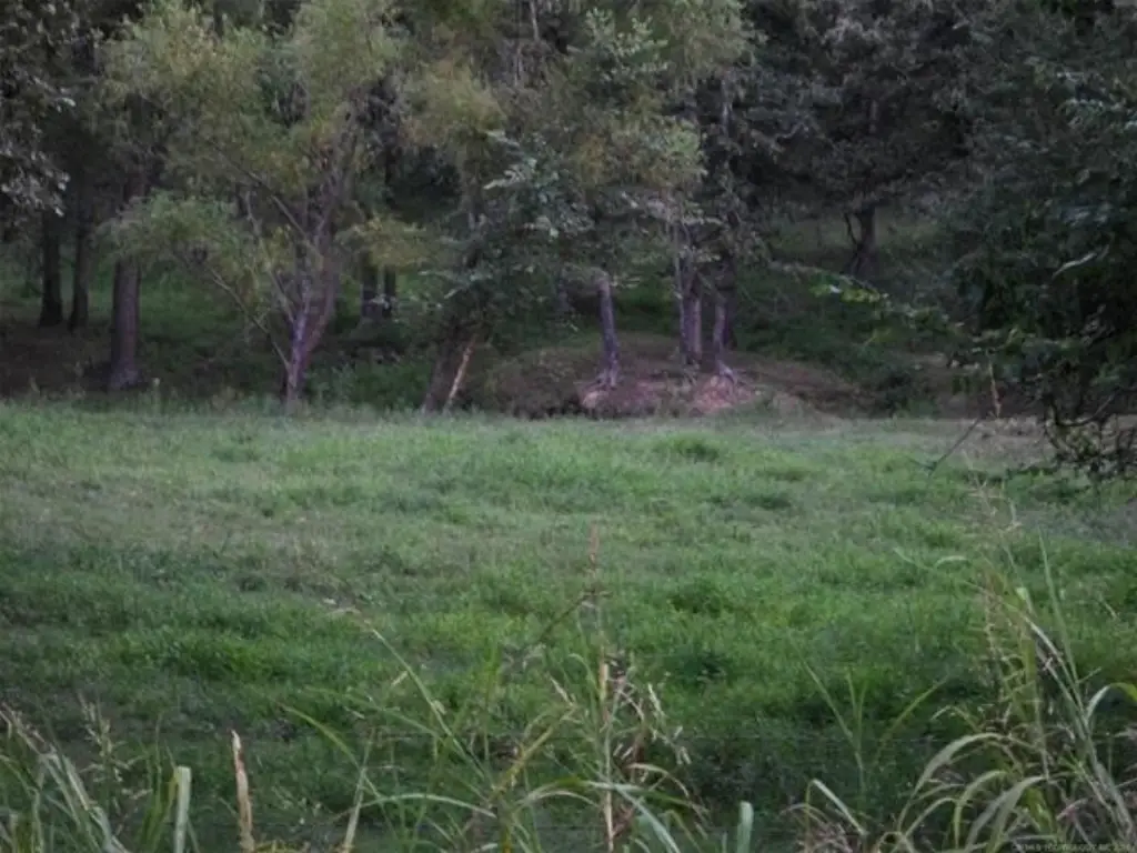 Picture 7