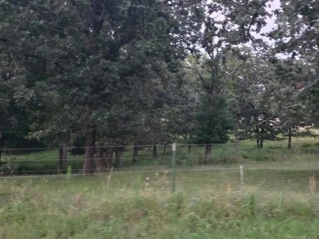 Picture 10