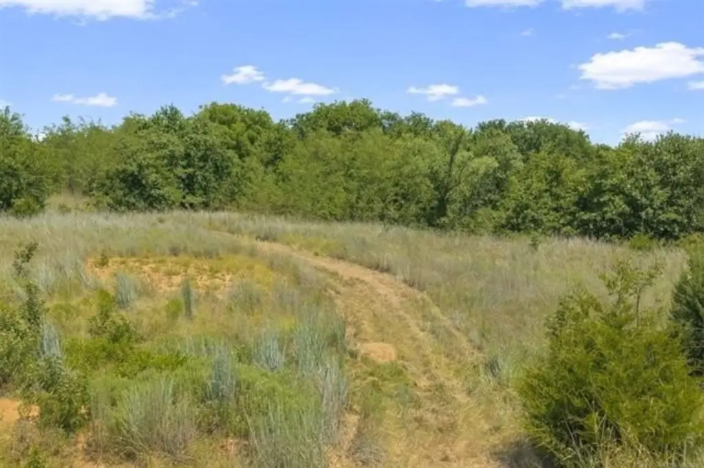 Picture 12