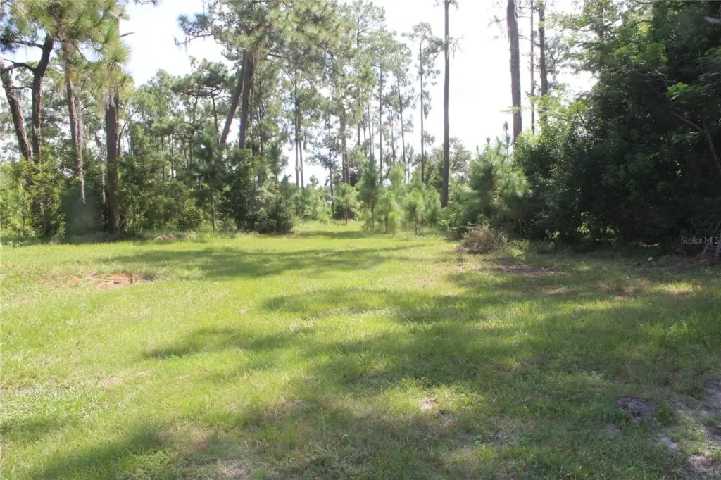 Picture 39