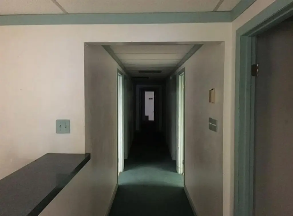 Picture 7
