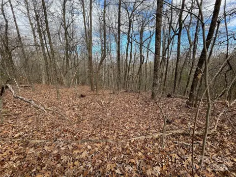 Land Near Jones Gap Park