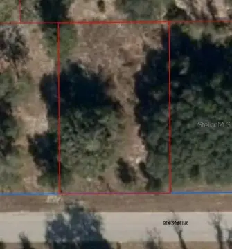 Residential Land in Williston, Florida