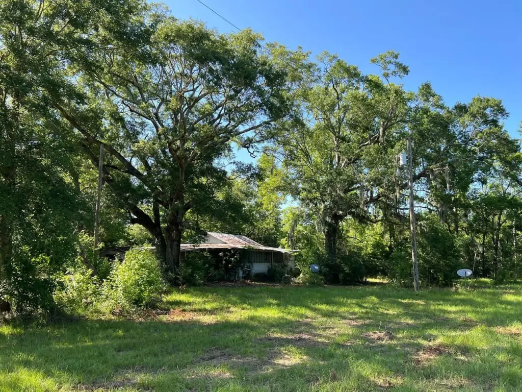 Picture 18
