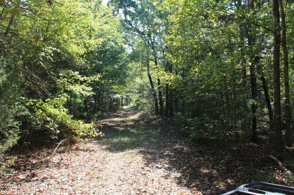 Picture 61