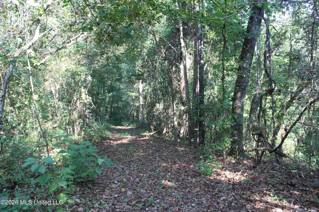 Picture 43