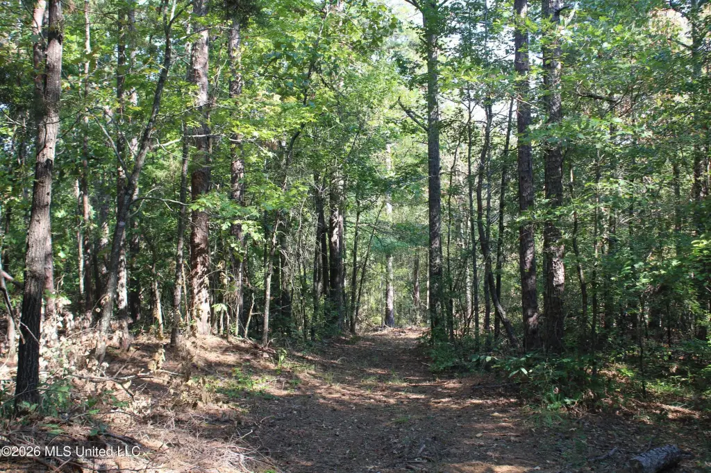 Picture 40