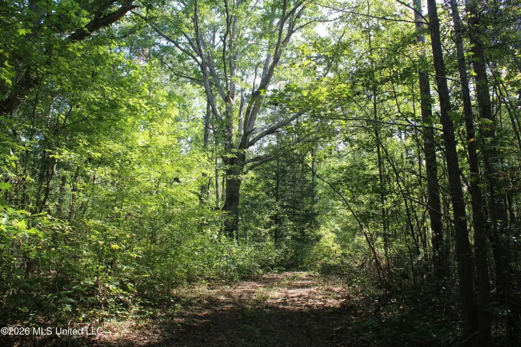 Picture 54