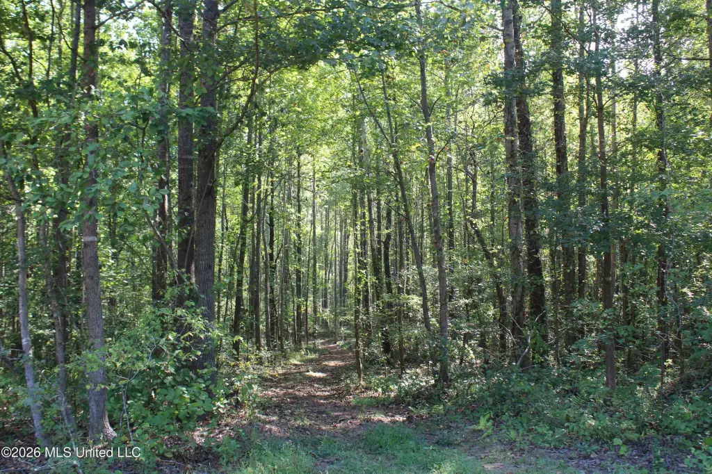 Picture 48