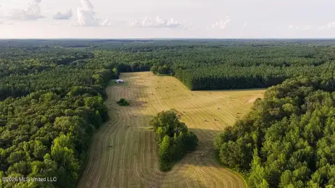 Recreational Hunting Land with Timber