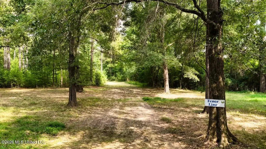 Picture 25