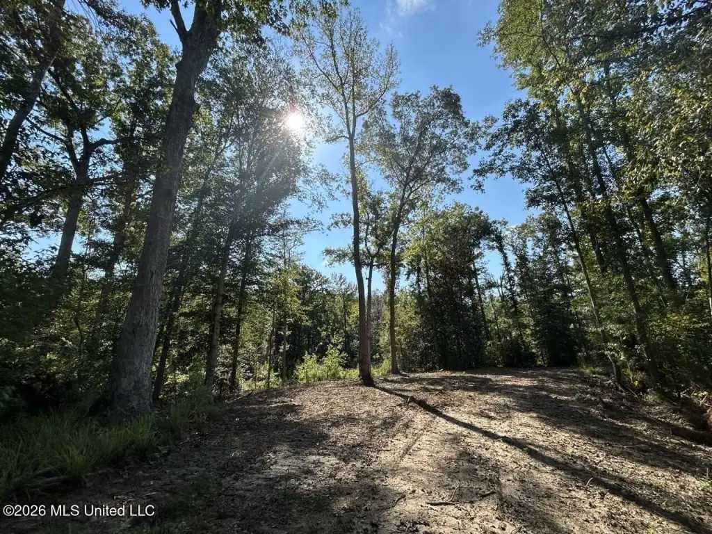 Picture 18