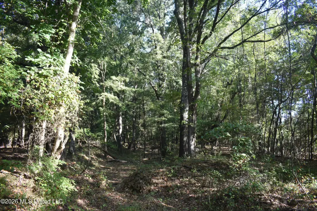 Picture 42