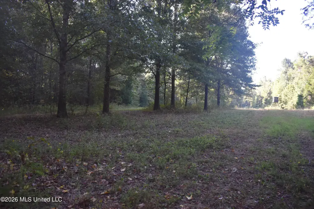 Picture 49