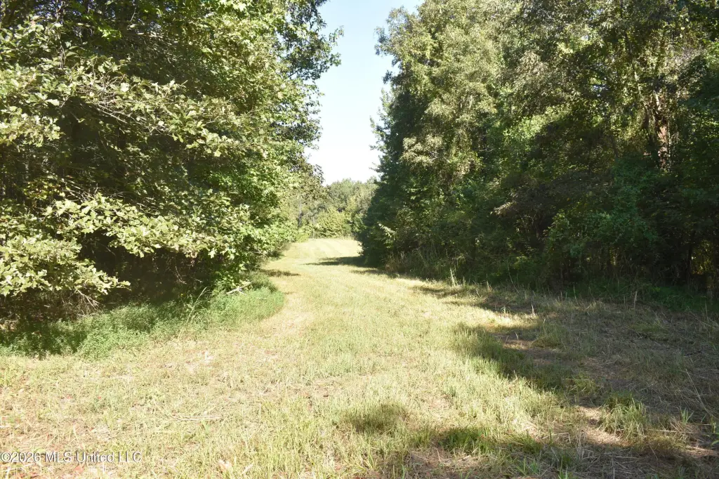 Picture 23