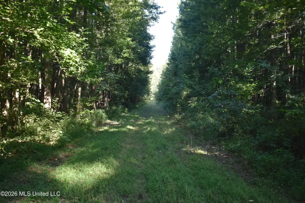 Picture 20