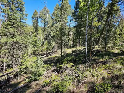 Colorado Mountain Estates Land Parcel