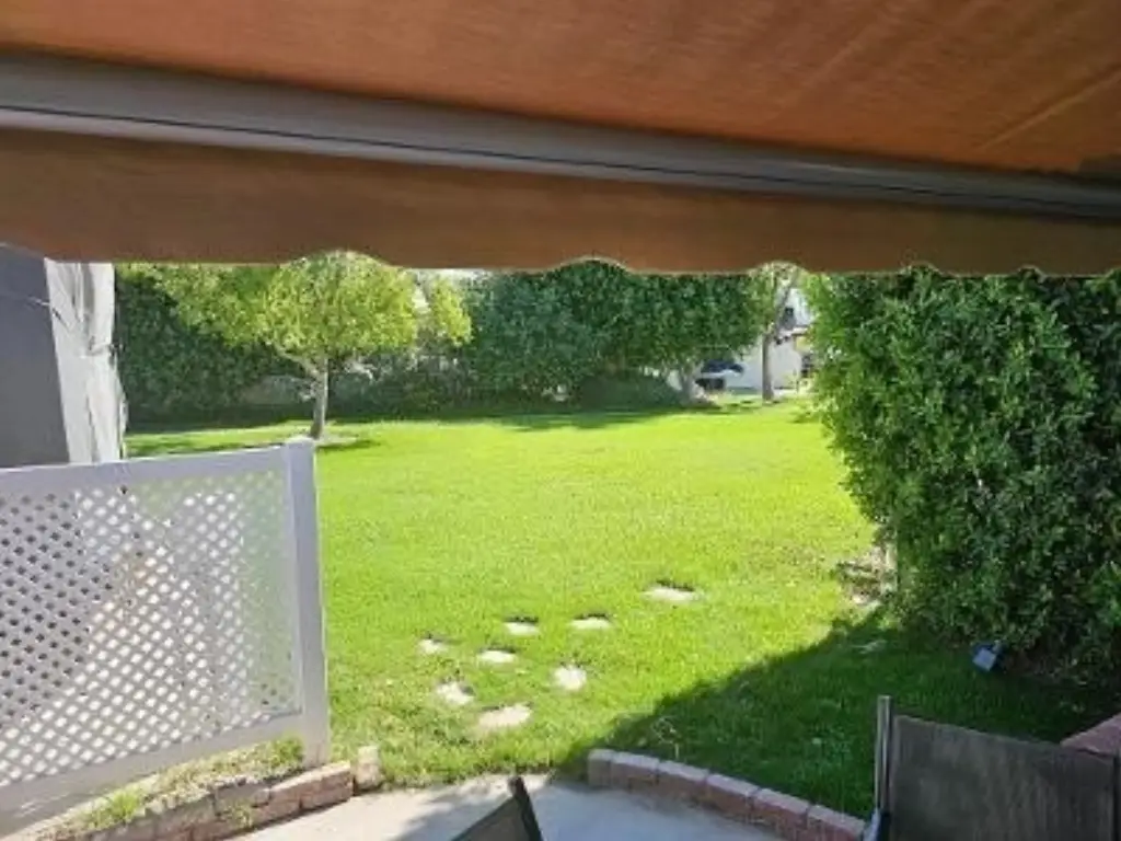 Picture 7