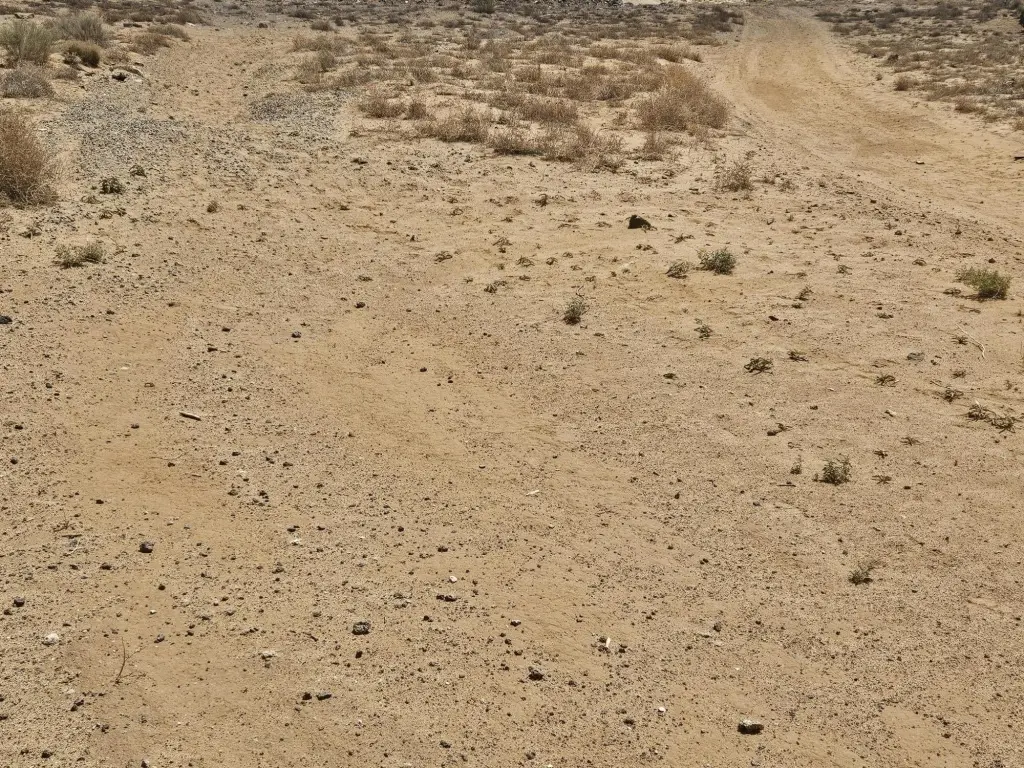 Picture 4