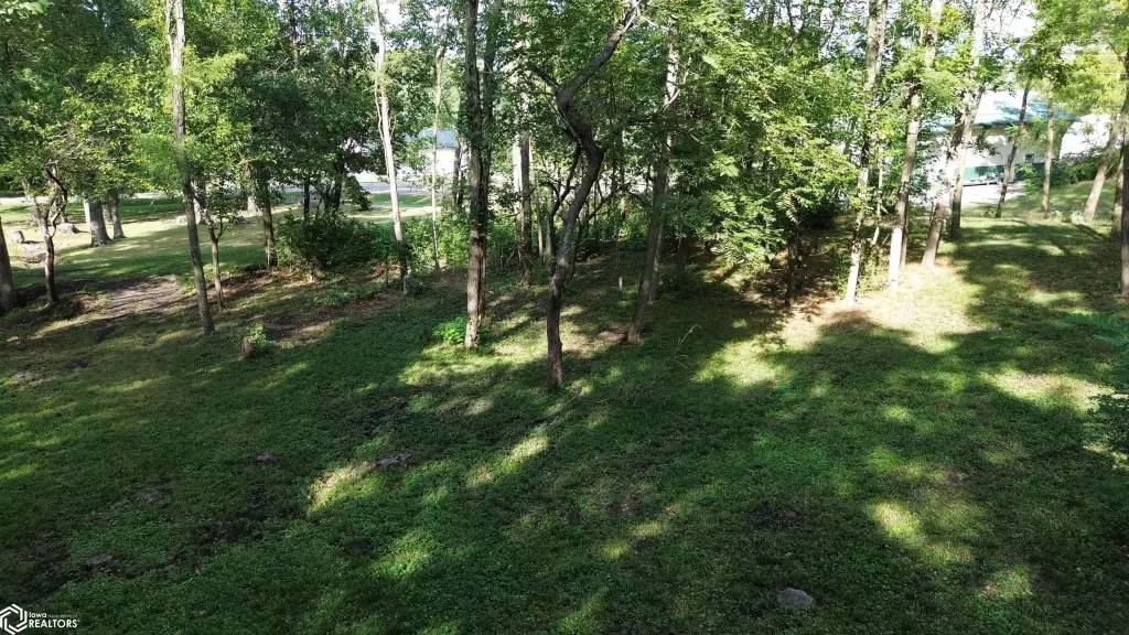 Picture 9