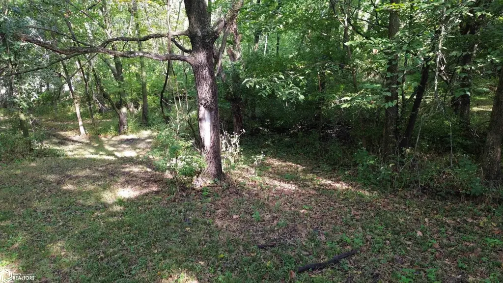 Picture 12