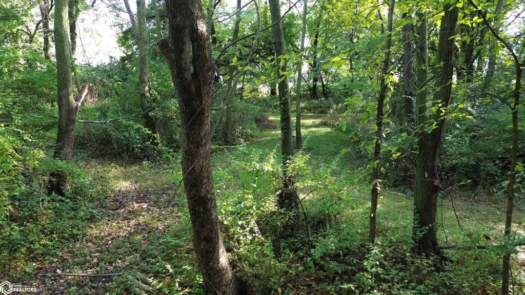 Picture 7