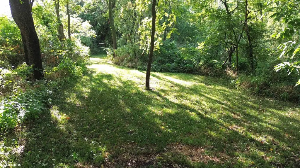 Picture 4