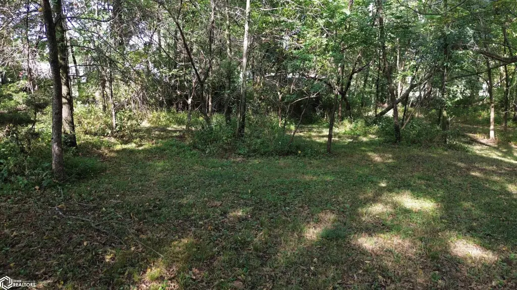 Picture 10