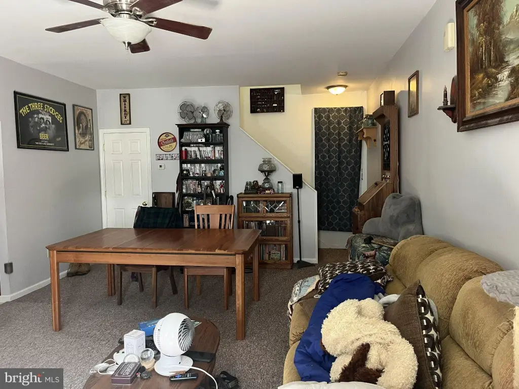 Picture 13