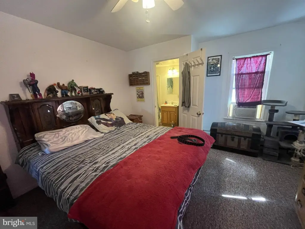 Picture 15