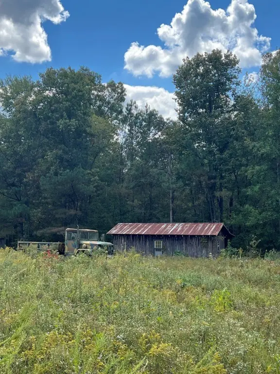 Picture 5
