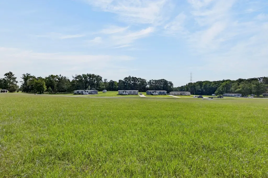 Picture 6