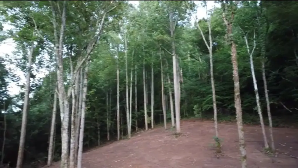 Picture 23